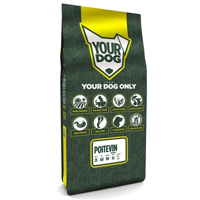 Yourdog Poitevin Senior