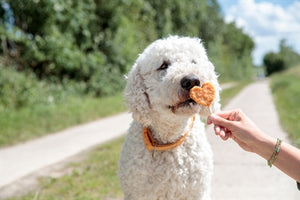 Trixie Premio Lolly Met Kip En Rijst