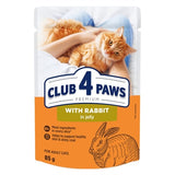 Club 4 Paws Premium Adult Rabbit In Jelly Pouch