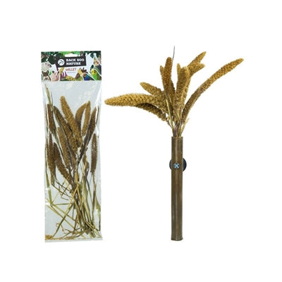 Back Zoo Nature Millet Setaria Italica
