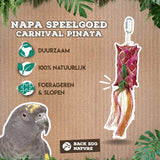 Back Zoo Nature Carnival Pinata