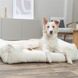 Trixie Vital Hondenmand Jonna Hoekig Ribfluweel Creme