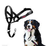 The Company Of Animals Company Of Animals Halti Headcollar Zwart Nr 2