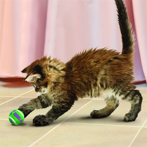 Kong Kat Tennisballen Met Bellen 4X4X4 CM