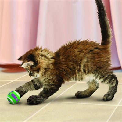 Kong Kat Tennisballen Met Bellen 4X4X4 CM