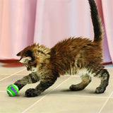 Kong Kat Tennisballen Met Bellen 4X4X4 CM