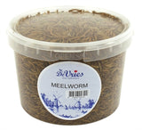 De Vries Meelworm