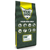 Yourdog Istarski Kratkodlaki Gonic Pup