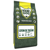 Yourdog Coton De Tuléar Volwassen