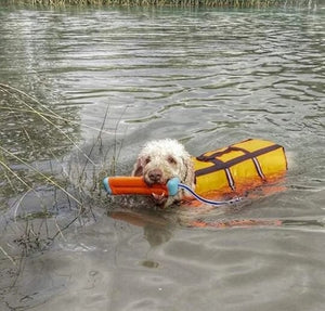 Chuckit Amphibious Bumper SMALL